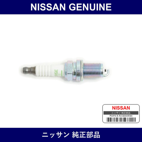 Genuine Nissan Plug - Multiple Part Numbers [Set 22401]