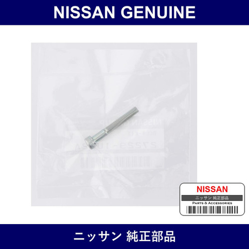 Genuine Nissan Bolts Kit - Multiple Part Numbers [Set 27229]