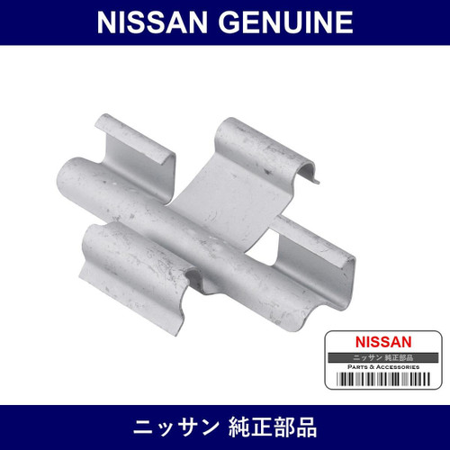 Genuine Nissan Spring - Multiple Part Numbers [Set 41090]