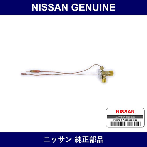 Genuine Nissan Valve Assembly Expansion - Multiple Part Numbers [Set 92200-B]