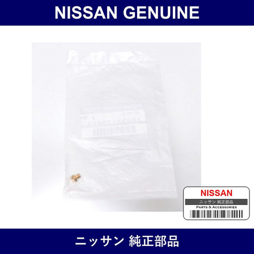 Genuine Nissan Main Jet - Multiple Part Numbers [Set 16033]