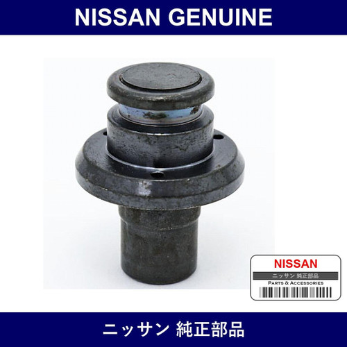 Genuine Nissan Adjusting Nut - Multiple Part Numbers [Set 44128]