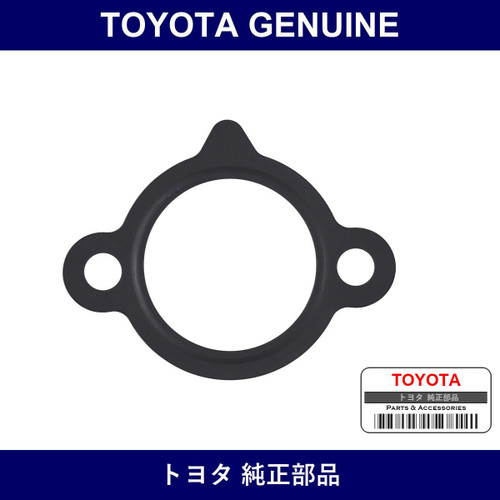 Genuine Toyota Gasket Chain - Multiple Part Numbers [Set 13552]