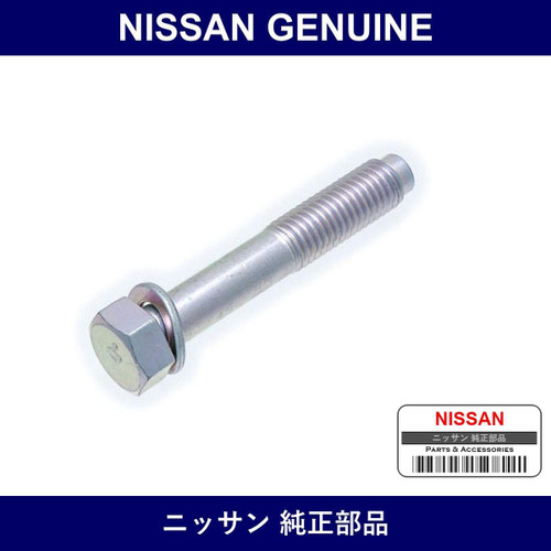 Genuine Nissan Bolt Transmission - Multiple Part Numbers [Set 31377]