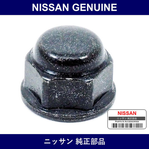 Genuine Nissan Nut - Multiple Part Numbers [Set 28889]