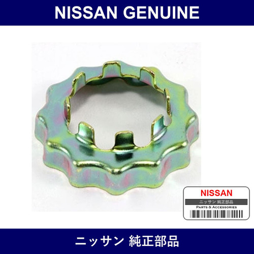 Genuine Nissan Cap - Multiple Part Numbers [Set 40263]