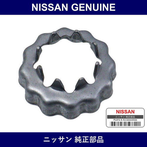 Genuine Nissan Cap - Multiple Part Numbers [Set 40263]