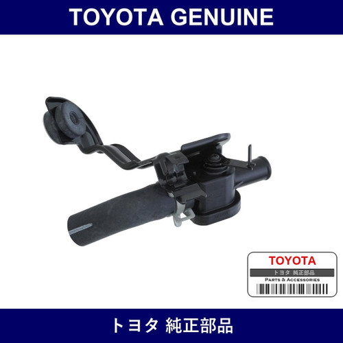 Genuine Toyota Hose & Valve Assy - Multiple Part Numbers [Set 87250]