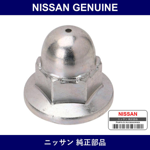 Genuine Nissan Nut Special - Multiple Part Numbers [Set 55269-B]
