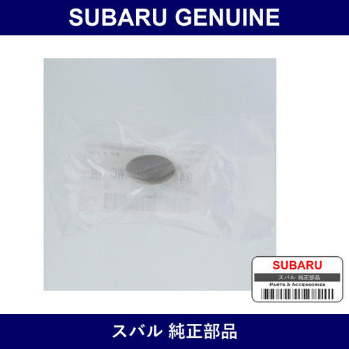 Genuine Subaru Cap Trim Panel Roof - Multiple Part Numbers [Set 94482KG000]