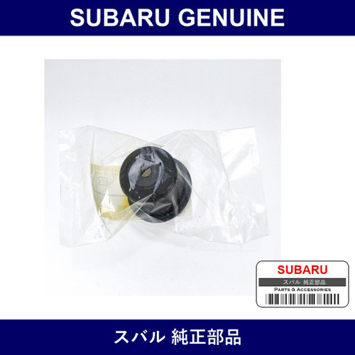 Genuine Subaru Boot Clutch Master Cylinder - Factory Original Part