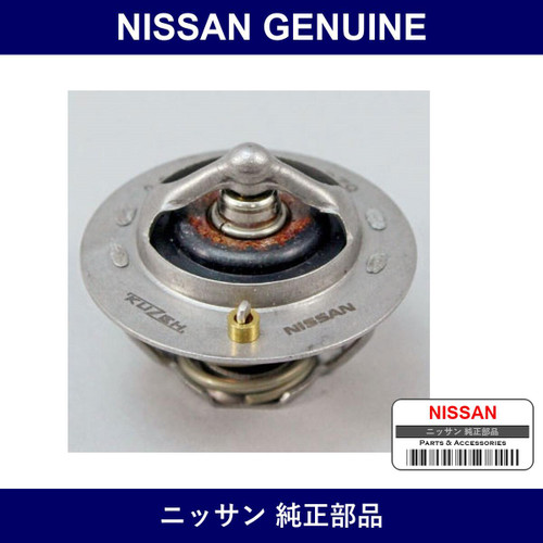 Genuine Nissan Thermo - Multiple Part Numbers [Set 21200-B]