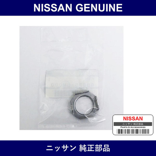 Genuine Nissan Plate - Multiple Part Numbers [Set 48635]