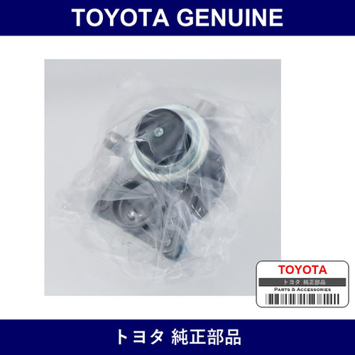 Genuine Toyota Fuel Filter Cap Assembly - Multiple Part Numbers [Set 23301]