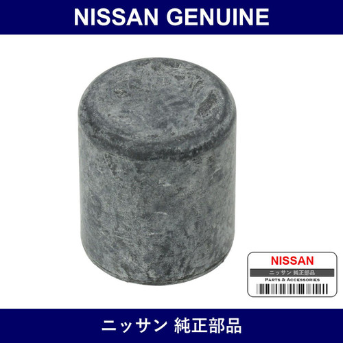 Genuine Nissan Cap Connector - Multiple Part Numbers [Set 14058]