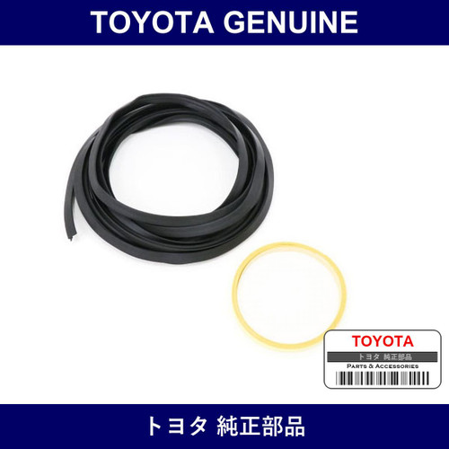 Genuine Toyota Front Glass Weatherdam Kit - Part No. 04562-30040 (0456230040)