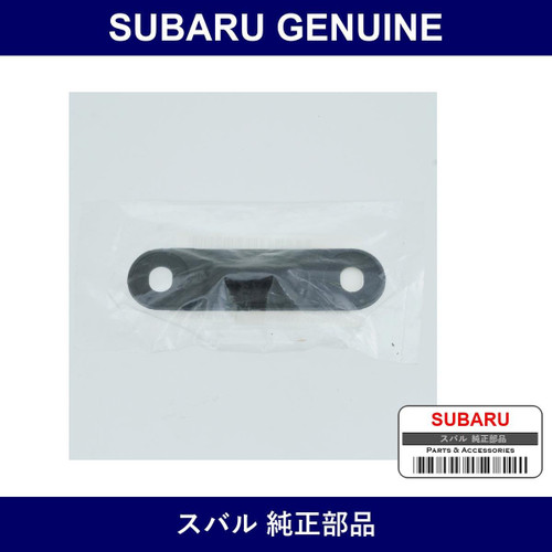 Genuine Subaru Suspenders Sliding Door - Multiple Part Numbers [Set 62421TA0]