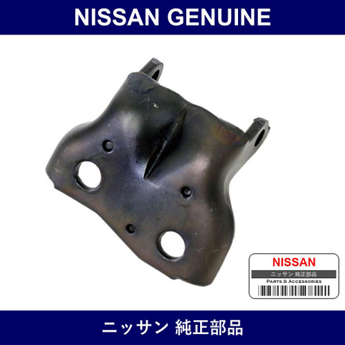 Genuine Nissan Hinge Assembly Front Door Upper - Multiple Part Numbers [Set 8040]