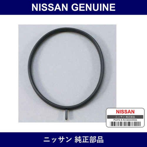 Genuine Nissan Gasket Adapter - Multiple Part Numbers [Set 16175]