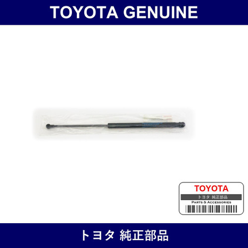 Genuine Toyota Food Support - Multiple Part Numbers [Set 53450]