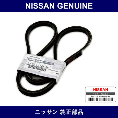 Genuine Nissan Power Steering Belt - Multiple Part Numbers [Set A1750]