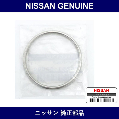 Genuine Nissan Rear Muffler Gasket - Multiple Part Numbers [Set 20691]