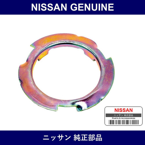 Genuine Nissan Plate - Multiple Part Numbers [Set 17343-B]