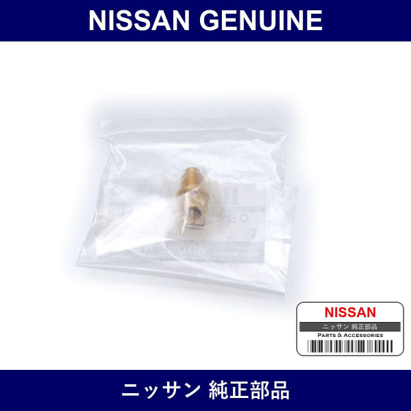 Genuine Nissan Needle Valve - Multiple Part Numbers [Set 16101]