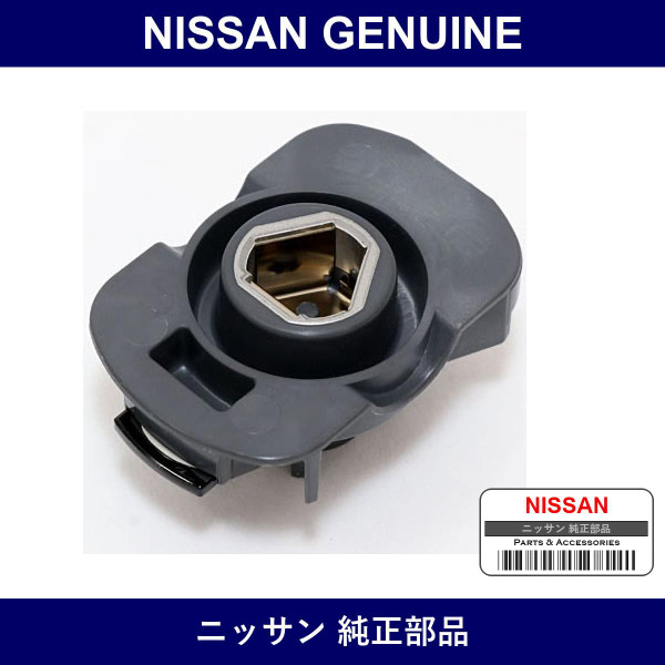 Genuine Nissan Disrota - Multiple Part Numbers [Set 22157]