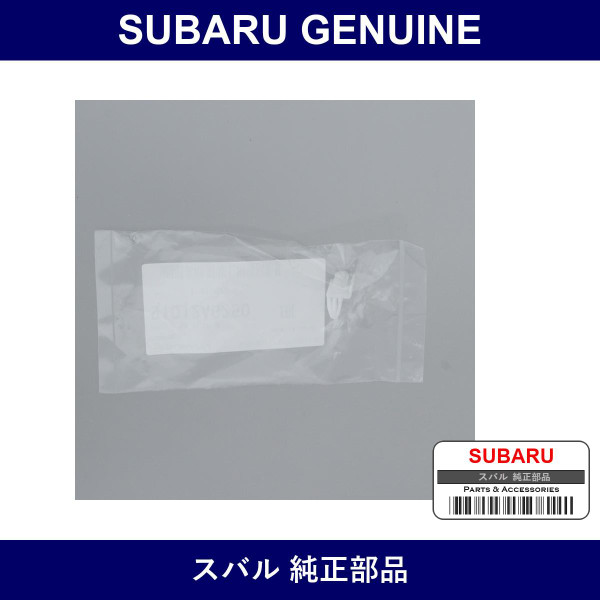Genuine Subaru Clip Side Protector - Part No. 91012AG250 (91012-AG250)