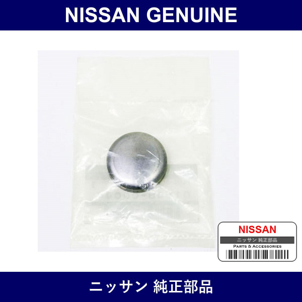Genuine Nissan Plug Welch - Multiple Part Numbers [Set 01648]