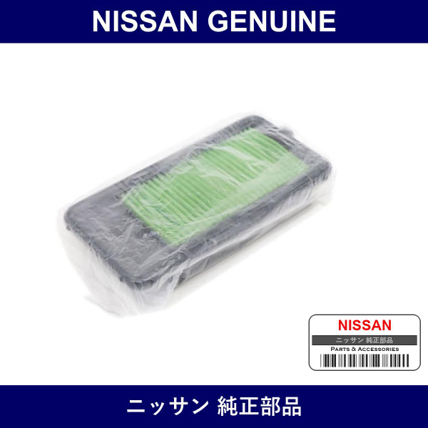 Genuine Nissan Air Cleaner Element - Multiple Part Numbers [Set AY120]