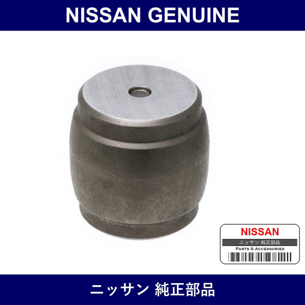 Genuine Nissan Block Thrust - Multiple Part Numbers [Set 38430]