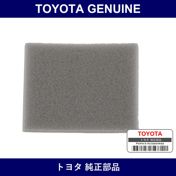 Genuine Toyota Cowl Top Ventilator Louver Protector Rh - Part No. 55789-52080 (5578952080)