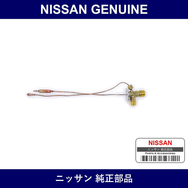 Genuine Nissan Valve Assembly Expansion - Multiple Part Numbers [Set 92200-B]