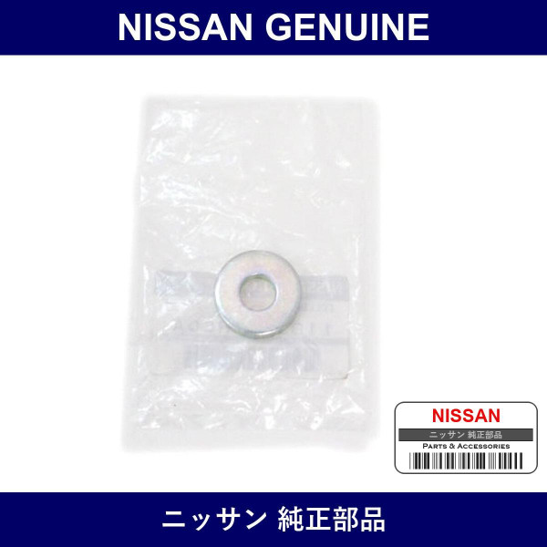 Genuine Nissan Color - Multiple Part Numbers [Set 11932]