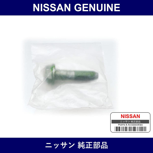 Genuine Nissan Steering Knuckle Bolt - Multiple Part Numbers [Set 40056]