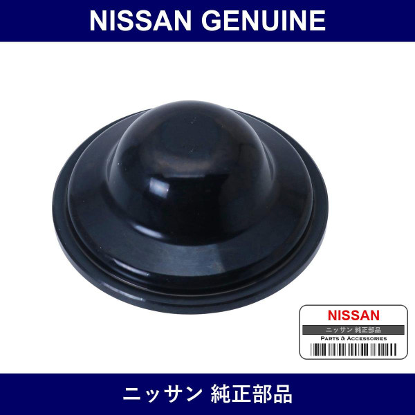 Genuine Nissan Cap Kingpin - Multiple Part Numbers [Set 40041]