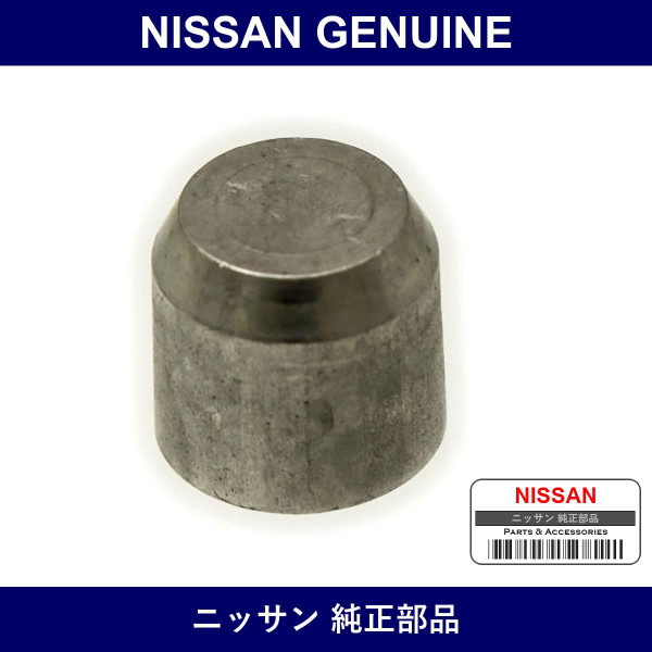 Genuine Nissan Plug - Multiple Part Numbers [Set 11024]