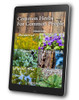 Common Herbs For Common People- Volume Three - EBOOK 