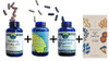  Synergistic Gut Bundle – Whole System Support* 