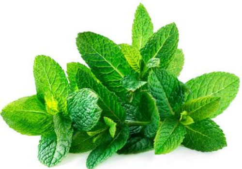  Mouth Mud - Mint 