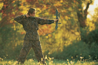 Are Compound Bows Illegal in Australia?  Are Compound Bows Illegal in Australia?