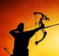 Compound Bow Laws