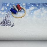 Winter Nature Trail Landscape Cross Stitch Fabric