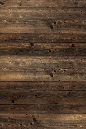 Dark Wood Dark Wood