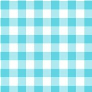 Aqua Gingham Cross Stitch Fabric