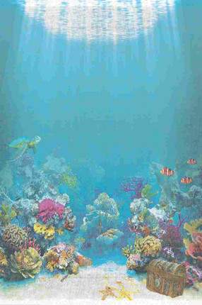 Underwater Scene Cross Stitch Fabric