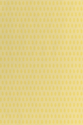 Yellow Eggs Yellow Eggs