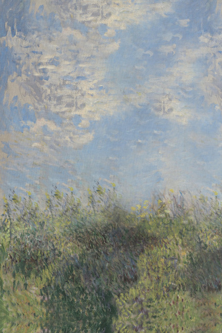 Monet Field Cross Stitch Fabric Portrait
